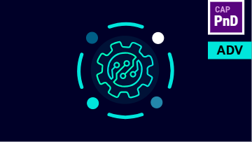 Capital X Panel Designer Advanced